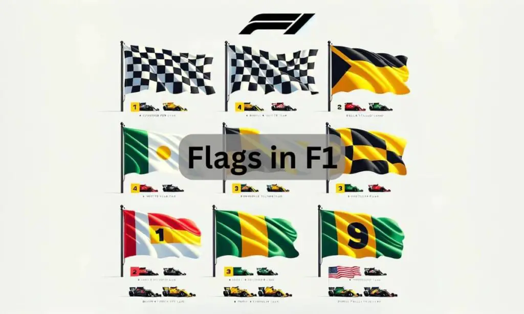 Flags in F1